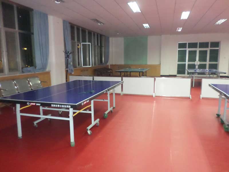 甘肅pvc塑膠運(yùn)動(dòng)地板